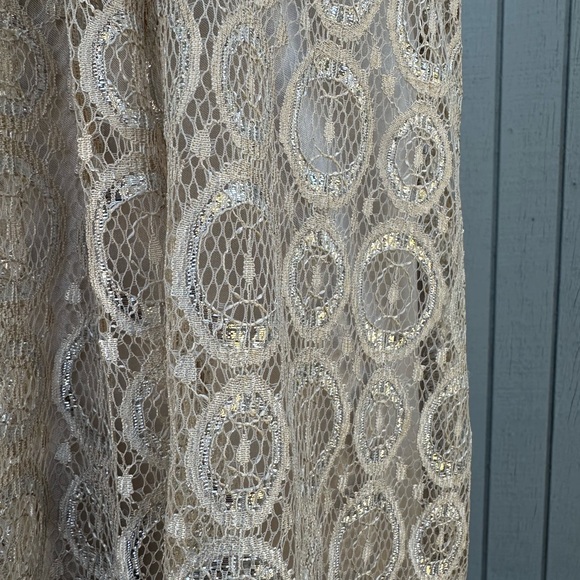 Alfani Taupe Lace Dress - Picture 5 of 12